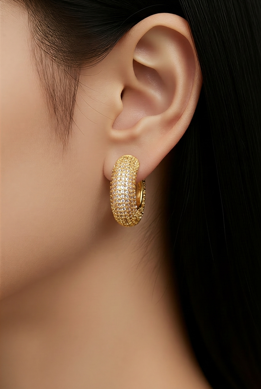 Earrings 020
