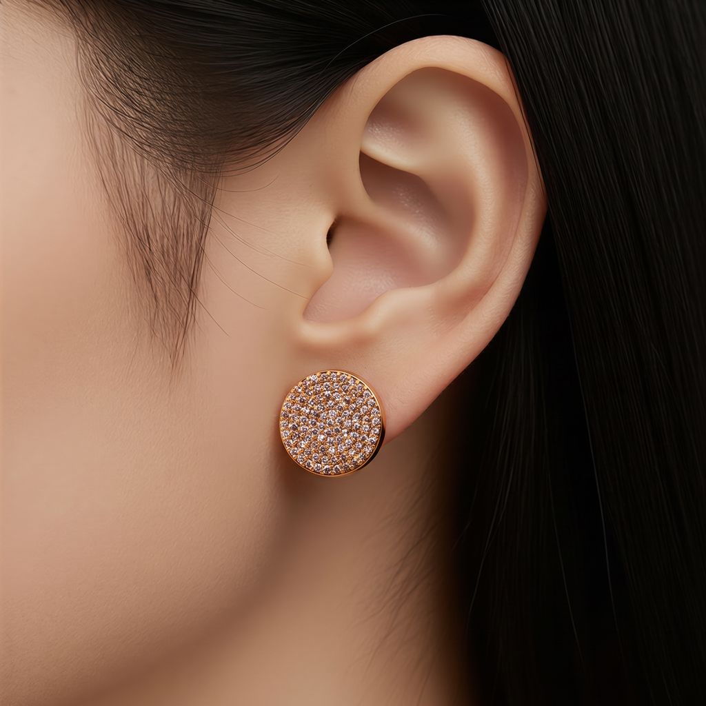 Earrings 040